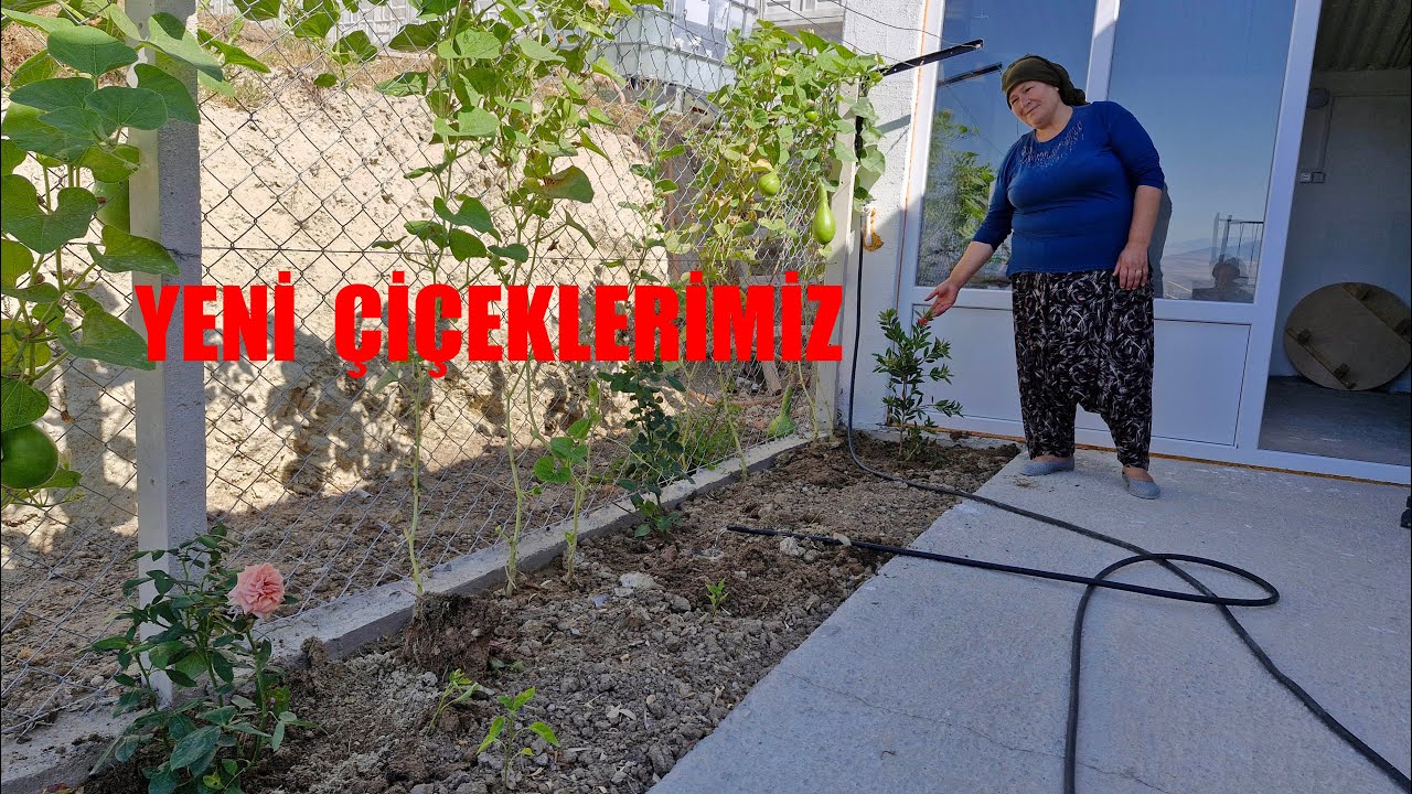YENİ GÜLLERİMİZİ BAHÇEMİZİN EN GÜZEL YERLERİNE DİKTİK HATİCE HANIMLA