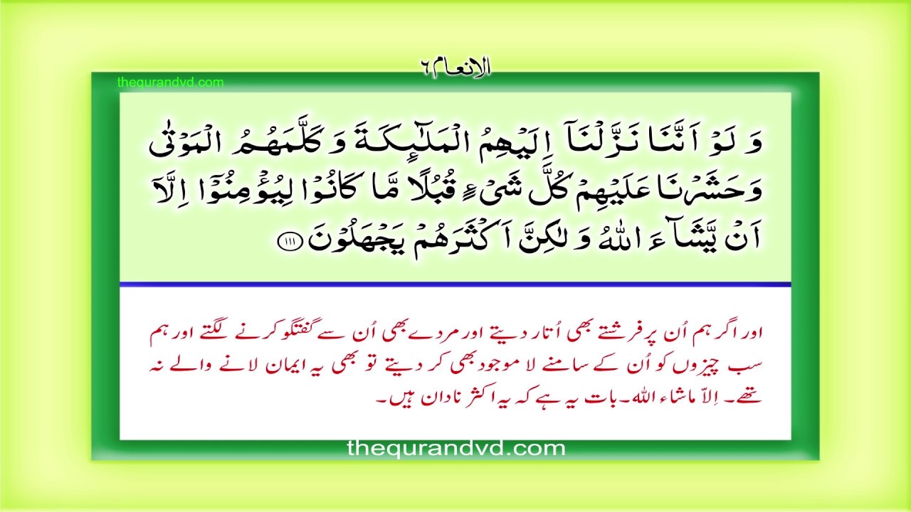Para 8 - Juz 8 Wa law annana HD Quran Urdu Hindi Translation