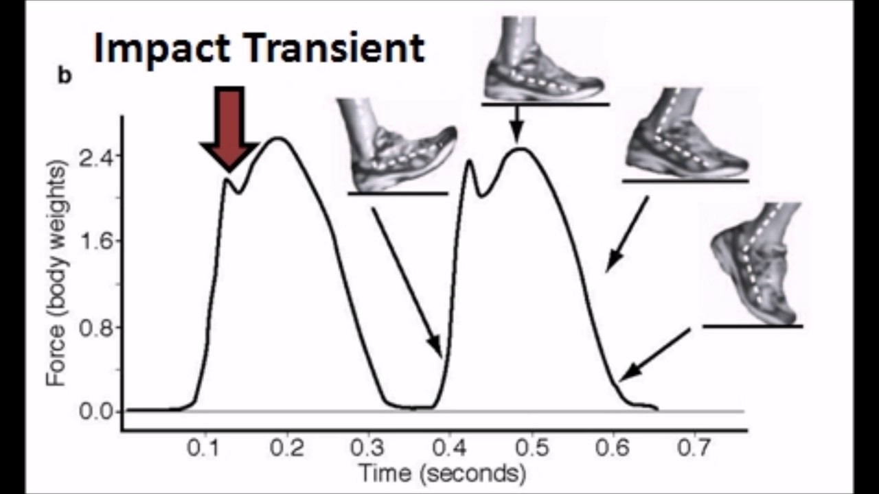 Forefoot Running vs Heel Strike Running - Impact Force Differences!