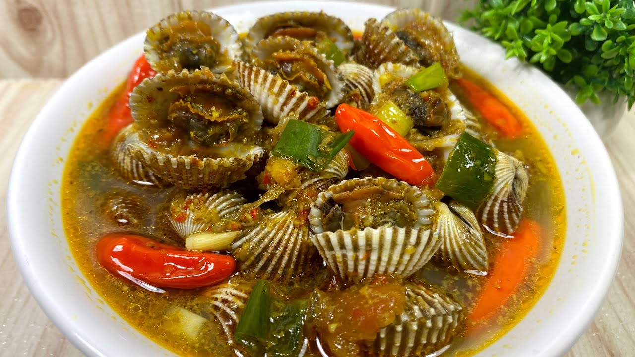 RESEP KERANG DARA BESERTA CARA MENGOLAHNYA || Panci Mayba