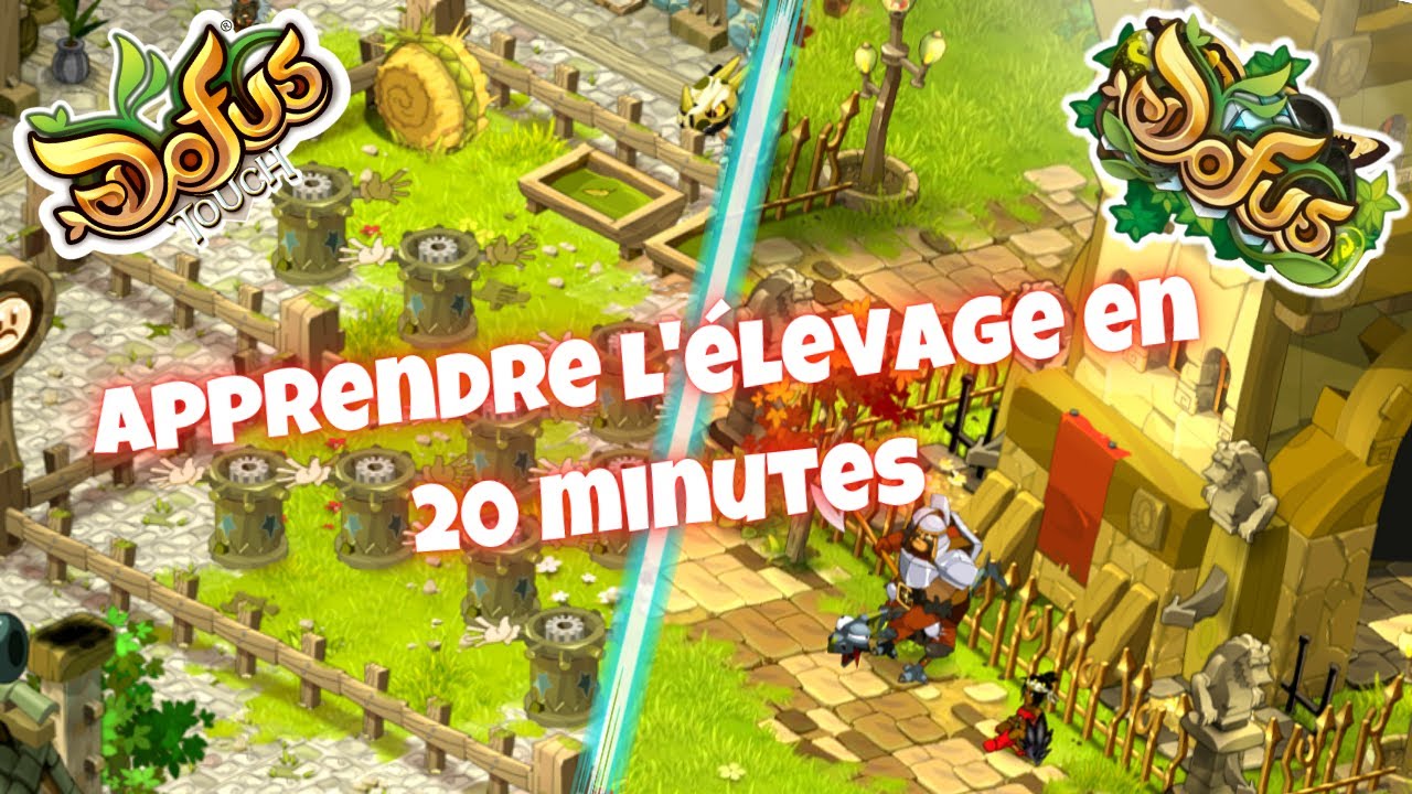 DOFUS TOUCH / DOFUS : TUTO sur l'ELEVAGE pour TOUT CONNAITRE !! (kamas assuré)