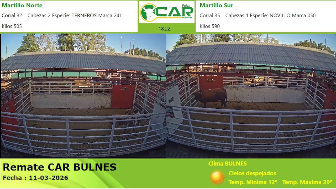 Transmisión en vivo de Ferias CAR Ñuble Ltda.