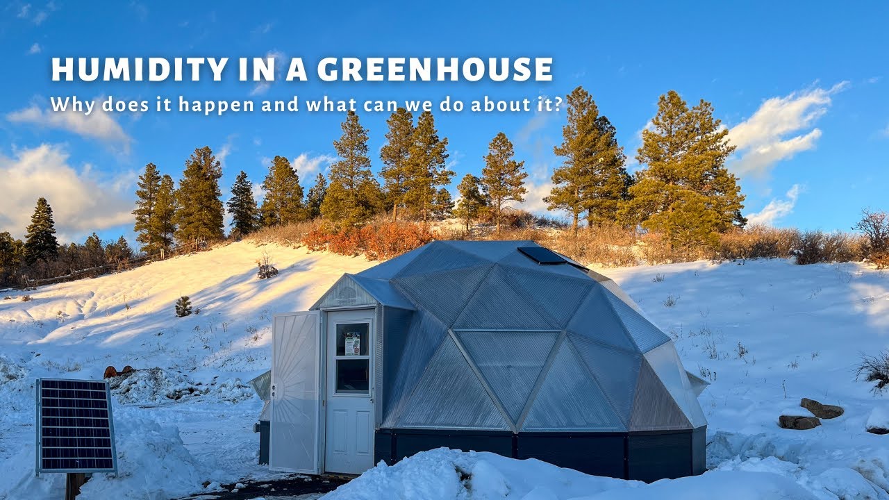 Humidity in a Greenhouse - Why does it happen and what can we do about it?