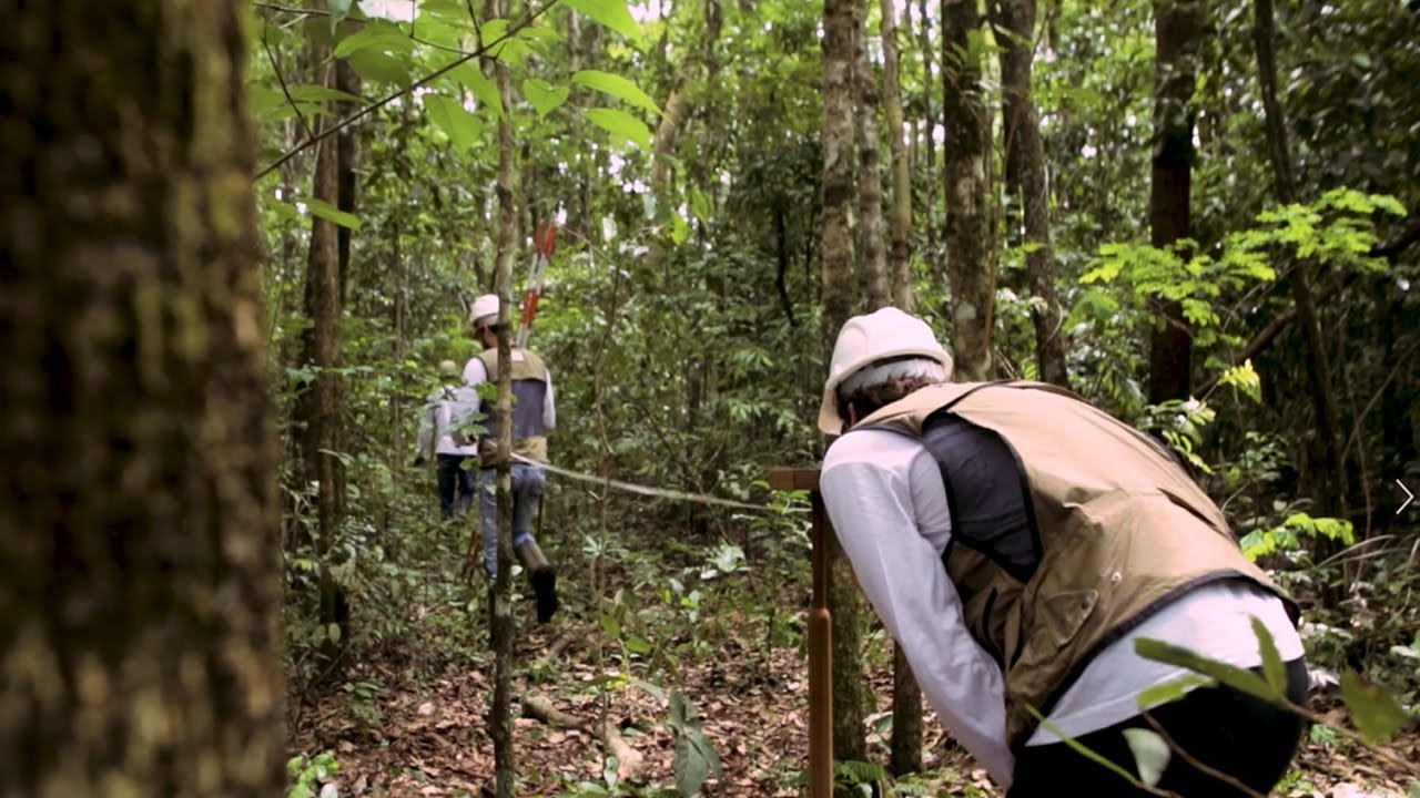 Inventário Florestal Nacional - Conhecer para conservar
