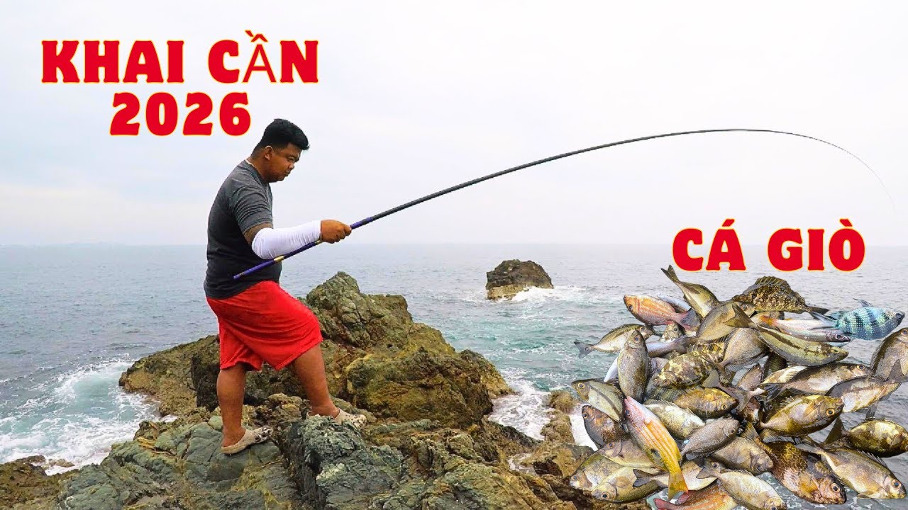 Câu Cá Biển Tự Nhiên Năm 2026, Câu Cá, Câu Ghềnh : Khai Cần, Điểm Câu Có Gì Trong Đầu Năm Và Cái Kết