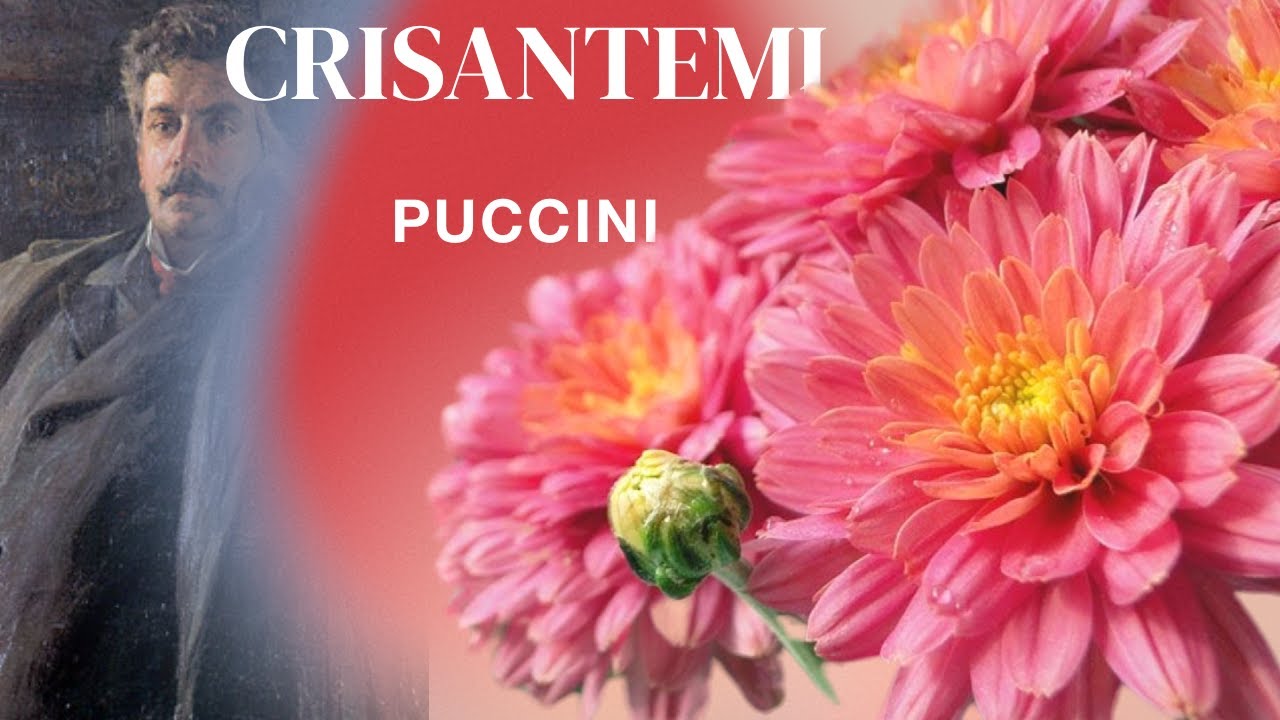 Puccini:Crisantemi/Krizant&eacute;mok / Koncert Dr. Farbaky G&eacute;z&aacute;n&eacute; sz&uuml;let&eacute;s&eacute;nek 100. &eacute;vfordul&oacute;ja alkalm&aacute;b&oacute;l