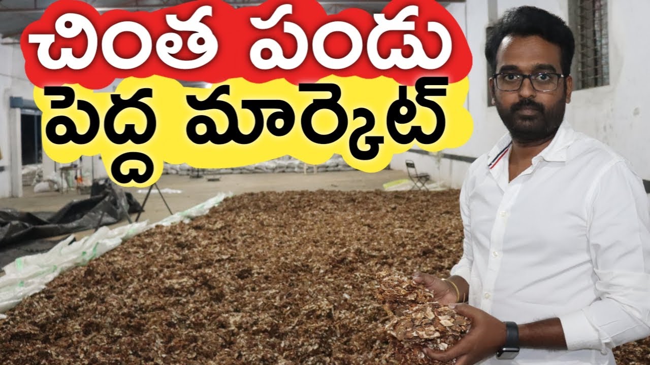చింత పండు అంగడి మాది.. ప్రతి వారం 100 టన్నులు | Tamarind Market | రైతు బడి
