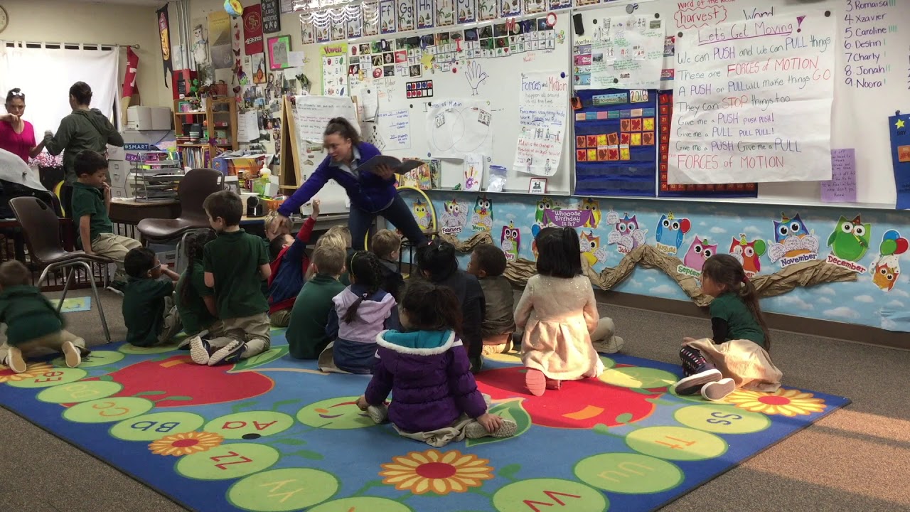 Kindergarten Force and Motion: Push and Pulls