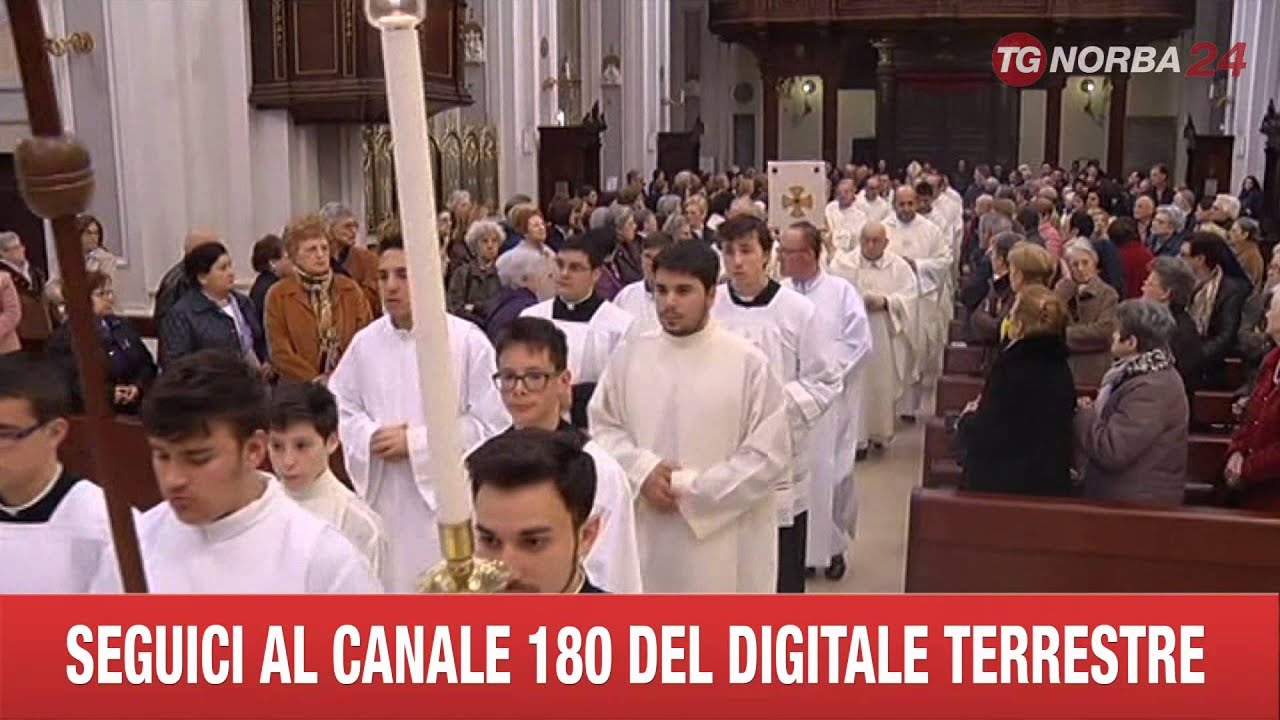 MOLFETTA MORTO VESCOVO MARTELLA