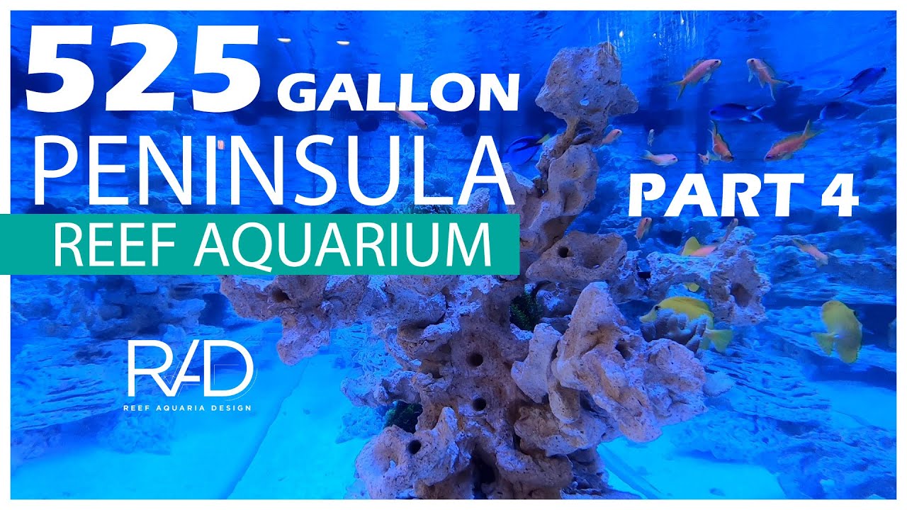 Filtration Tour & Coralline Seeding of the 525-GALLON PENINSULA REEF AQUARIUM Part 4 by RAD
