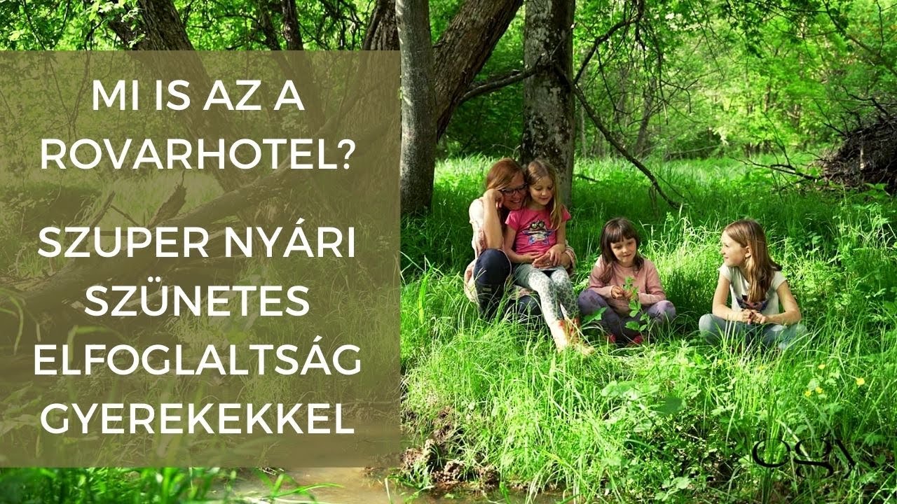 Gyerekjáték Borbás Marcsi kertjében - Készüljön madárodú, rovarhotel vagy éppen linzer!