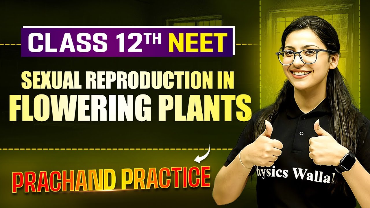 Sexual Reproduction in Flowering Plants PYQ's Video Solution | PRACHAND Practice Series | NEET 2025