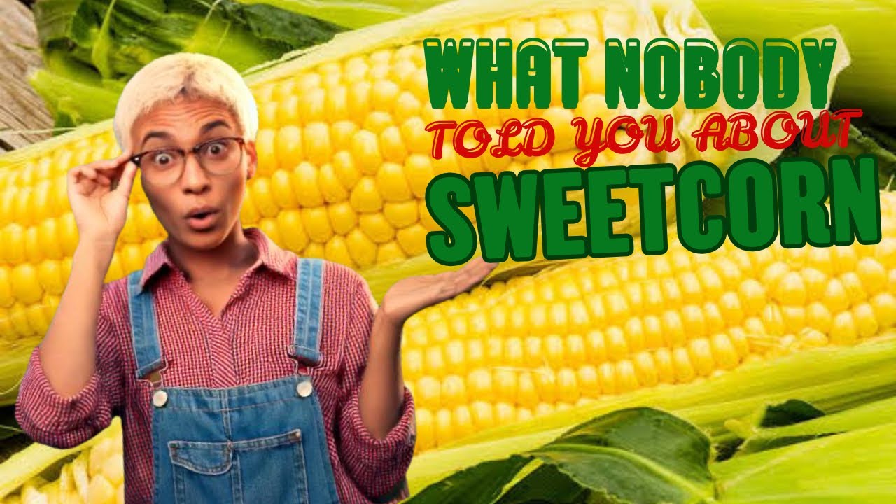 WHAT NOBODY TOLD YOU ABOUT SWEETCORN