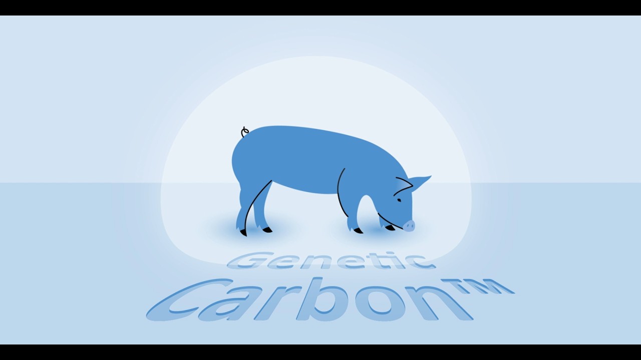 Genetic Carbon™: How PIC Genetics Reduce Greenhouse Gas Emissions in Pork Production