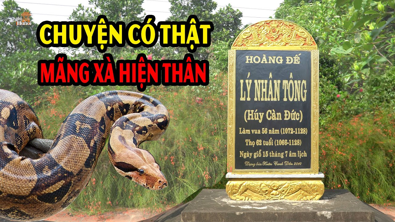 Chuyện linh thiêng có thật trong lăng mộ vua Lý Nhân Tông #hnp