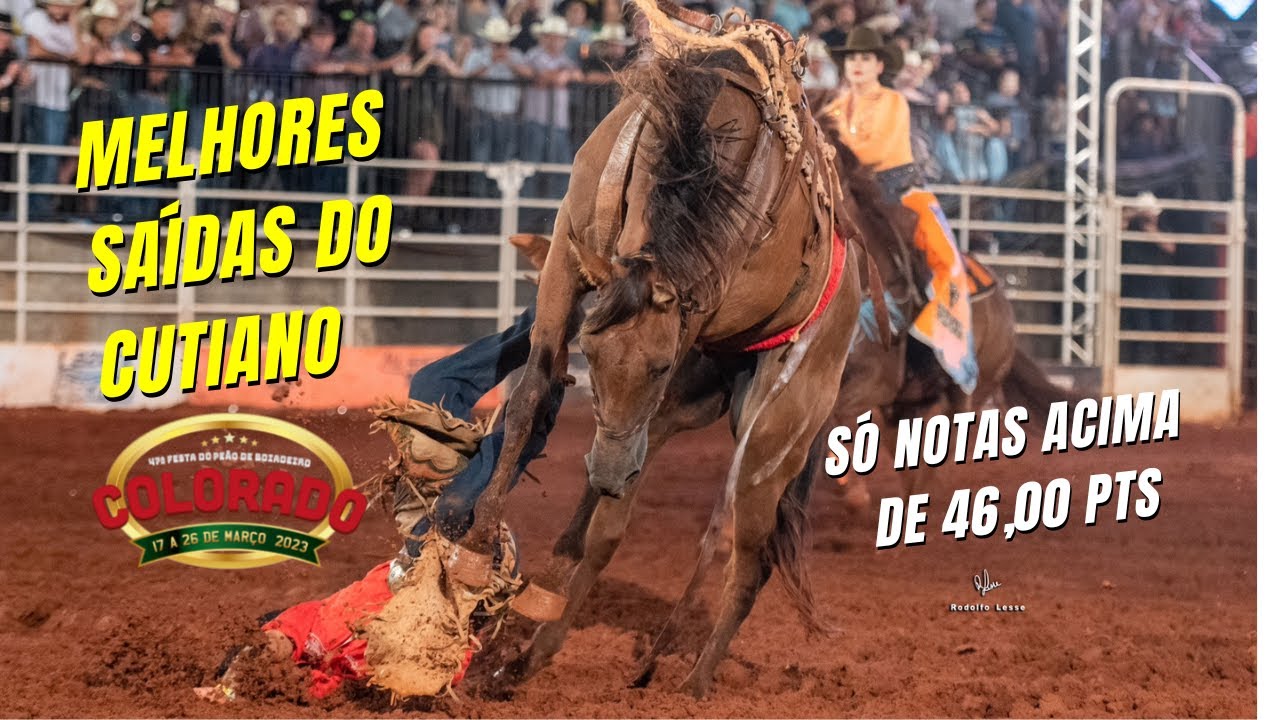 MELHORES SAÍDAS ANIMAIS  CUTIANO DE COLORADO 2023 (SÓ NOTAS ACIMA DE 46,00 PTS)