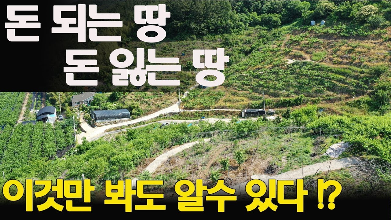 (꿀팁) 돈되는땅 돈잃는땅 이것만 알면 토지투자 성공할수 있다