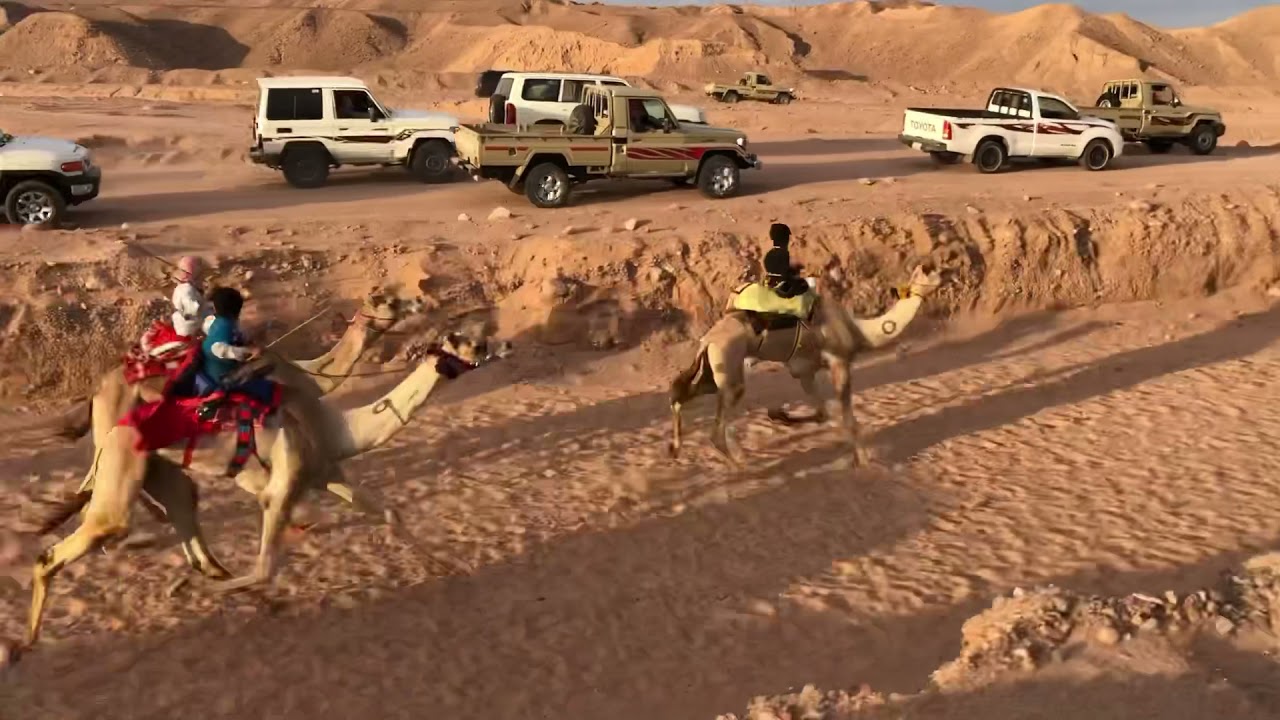 شوط الأشدة من مسافة ال 8 كم المركز الأول الشبابي ل السيد خضر بن علي العمراني