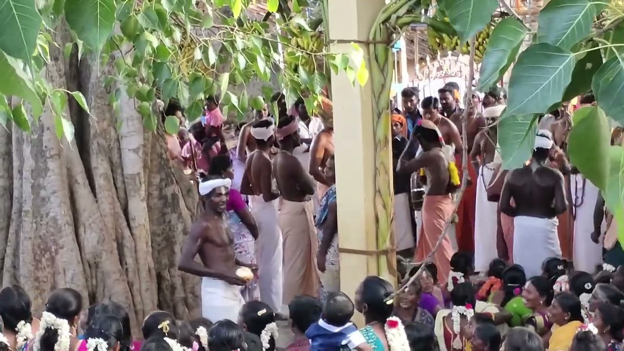 அய்யா கோவில்/samiyattam/ கடம்பன்குளம் அய்யா கோவில் திருவிழா