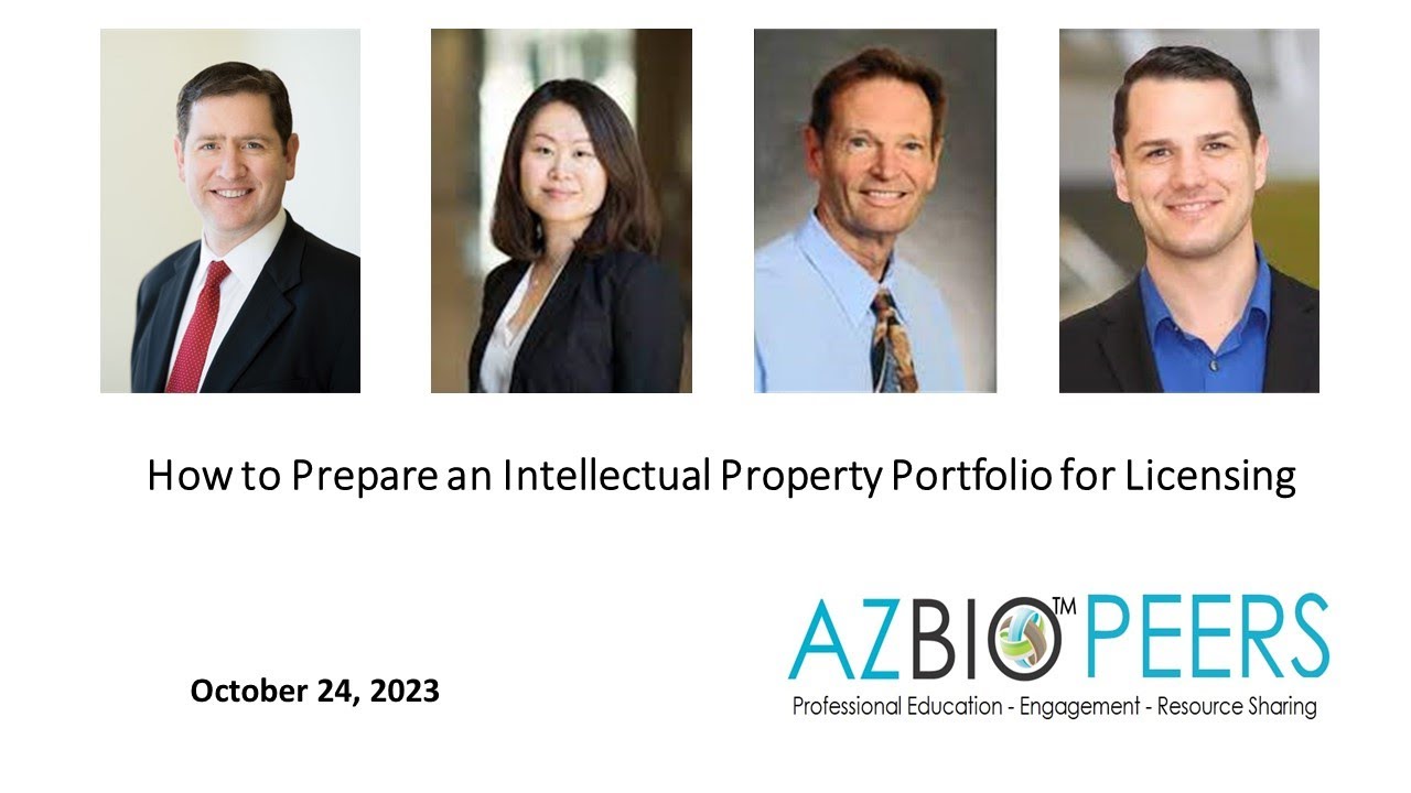 How to Prepare an Intellectual Property Portfolio for Licensing