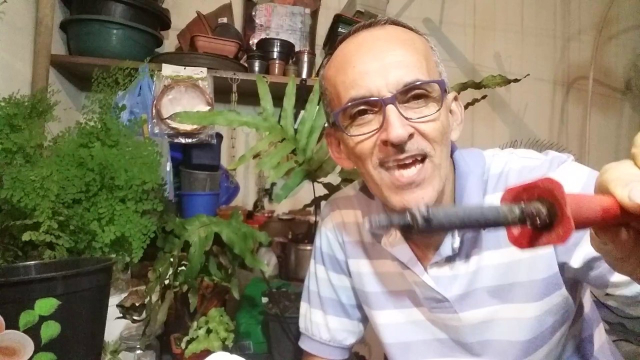 COMO FURAR VASOS, GARRAFAS E POTES PLÁSTICOS PARA PLANTAR