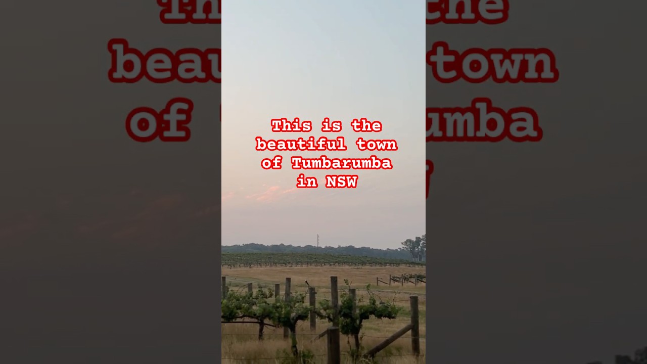 Beauty of New South Wales 