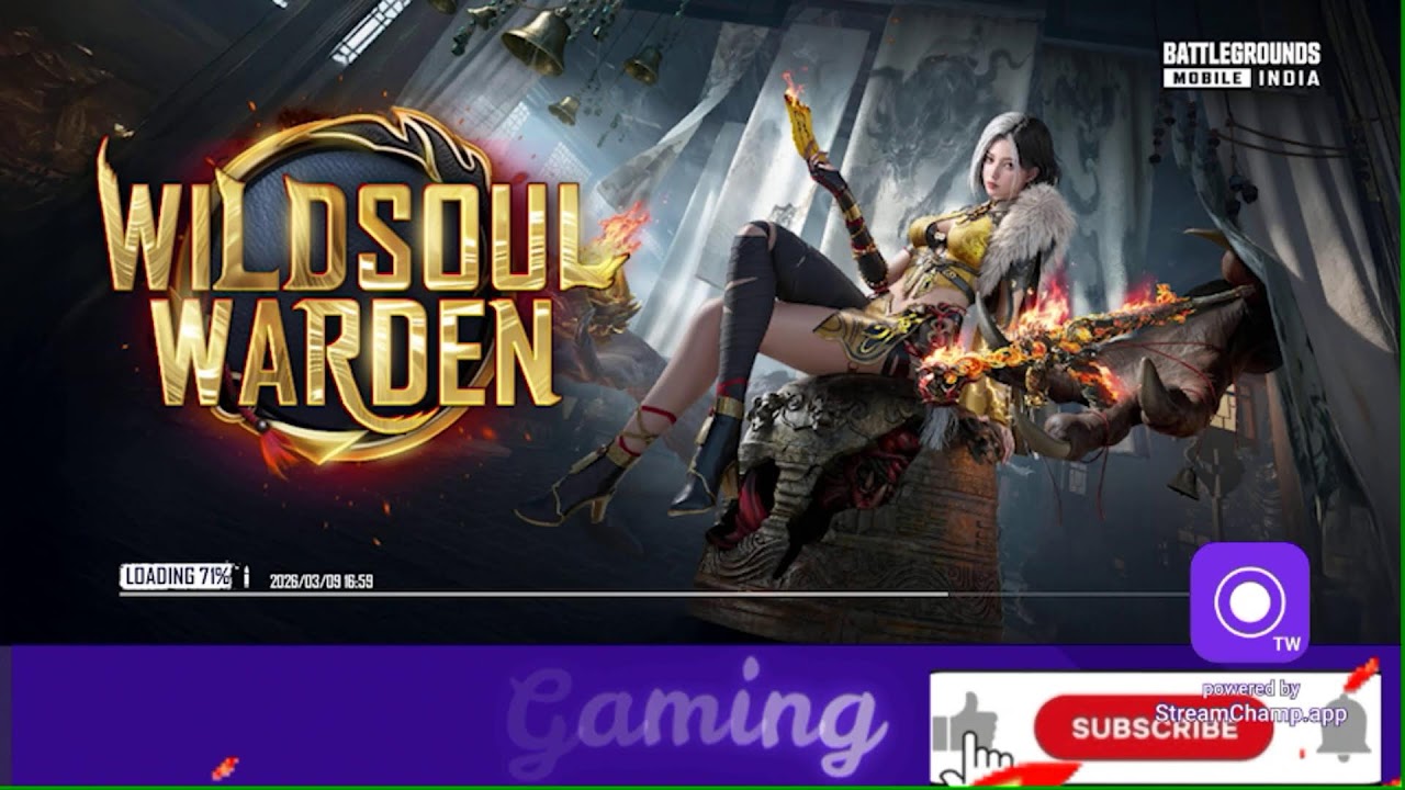 Live Stream Day 40