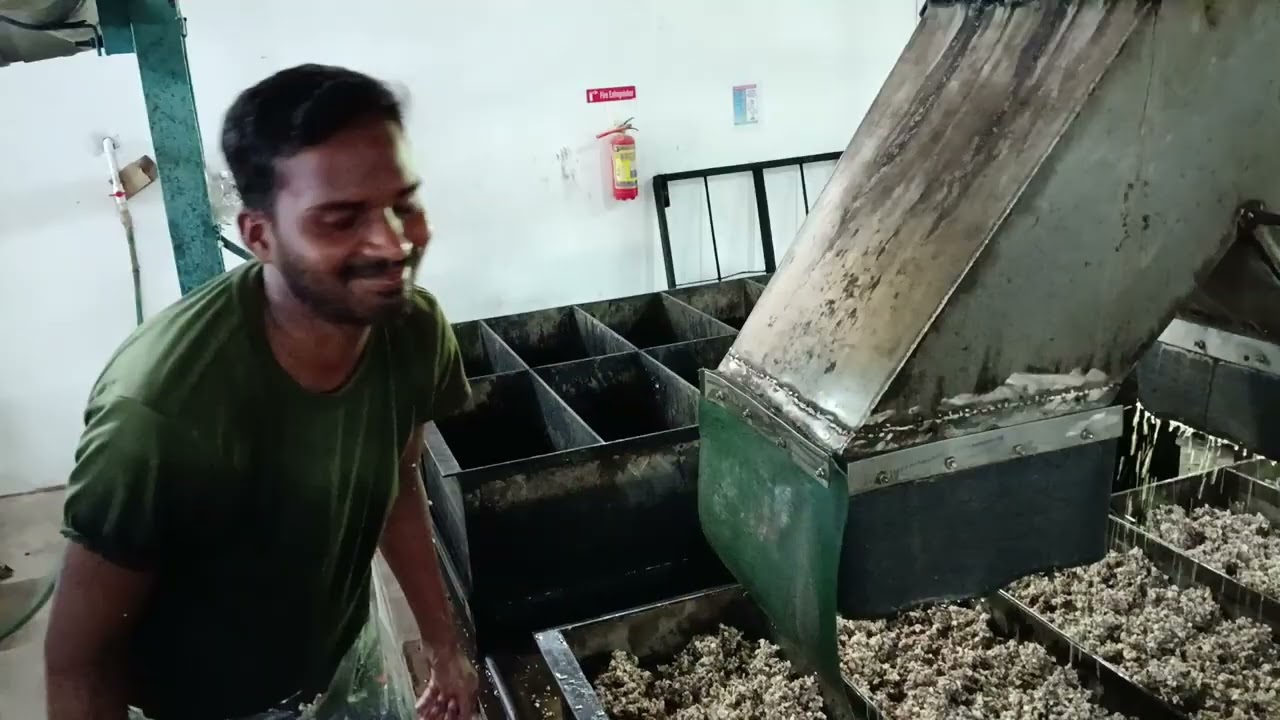  Technically specified rubber ( TSR or ISNR)making