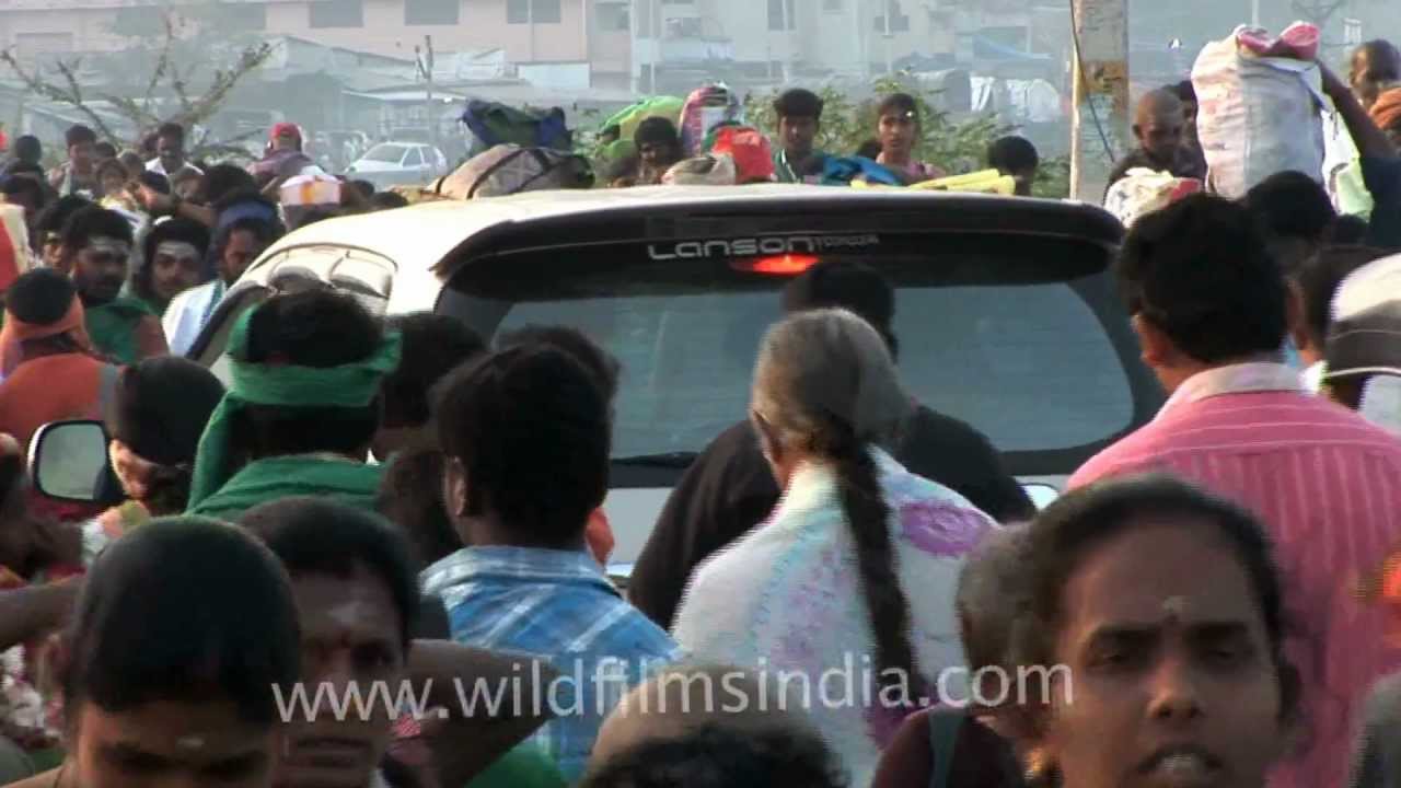 The Thaipusam devotees!