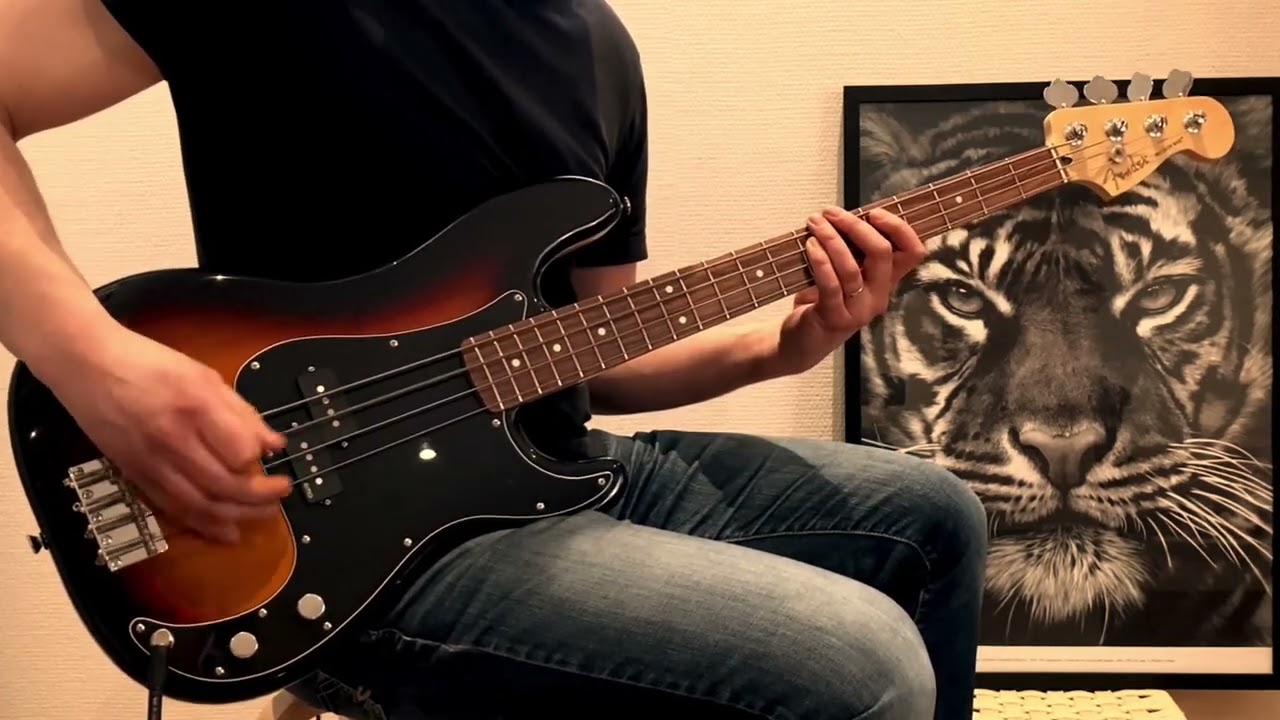 Hüsker Dü - Don't Want to Know If You Are Lonely (bass cover)