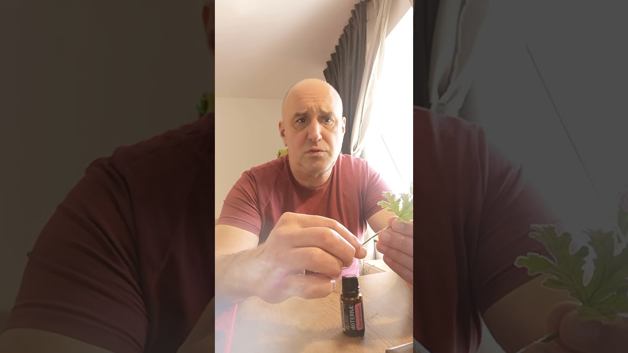 Индрише от компота до високото кръвно налягане