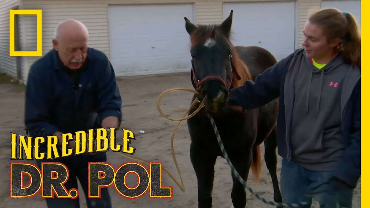 Dr. Pol Unplugs Storm | The Incredible Dr. Pol