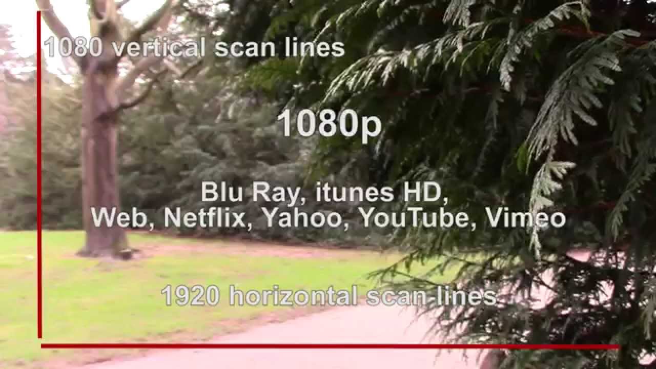 Digital Video Formats