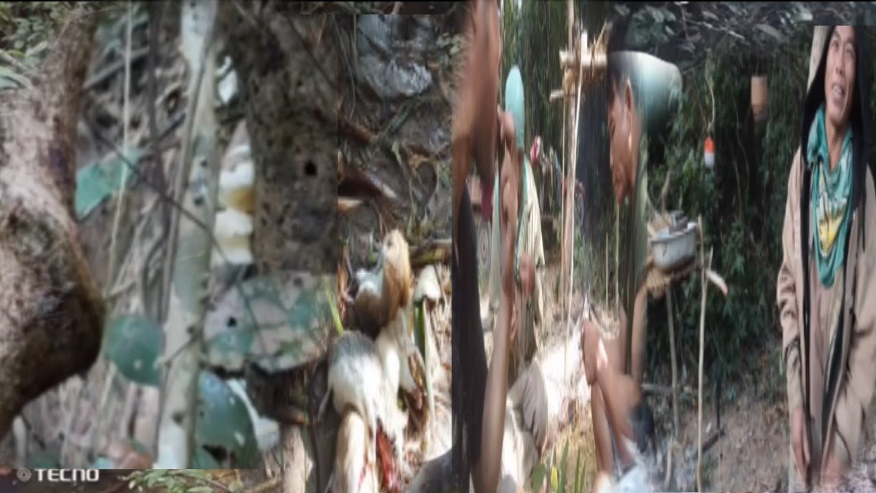 หนูปี้งแกงเหัดมันหากานเขดมะหน่าวและหาลัดเช้า