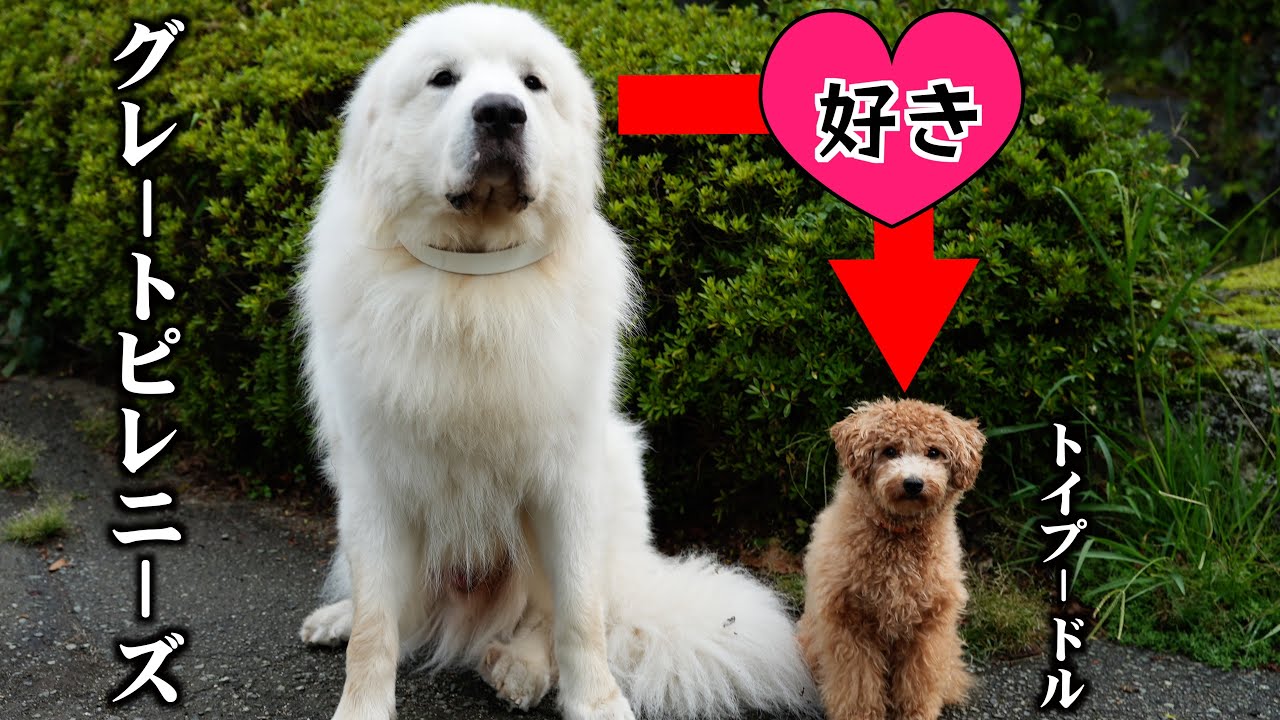 ここが恋しちゃうのは想定していませんでした（大汗）