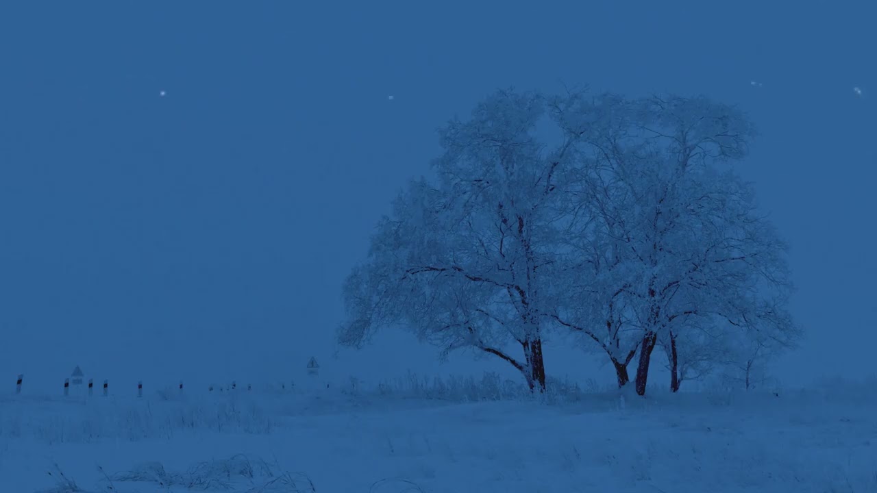cold