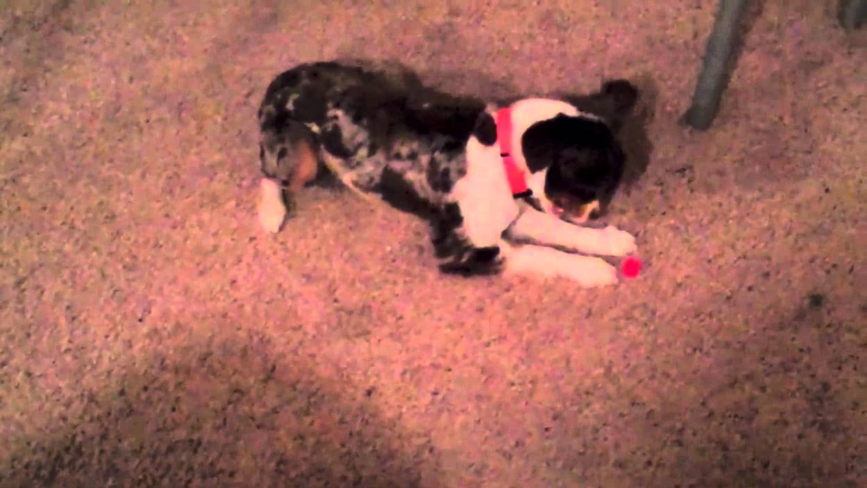 Remix Playing With an Evil Bottle Cap