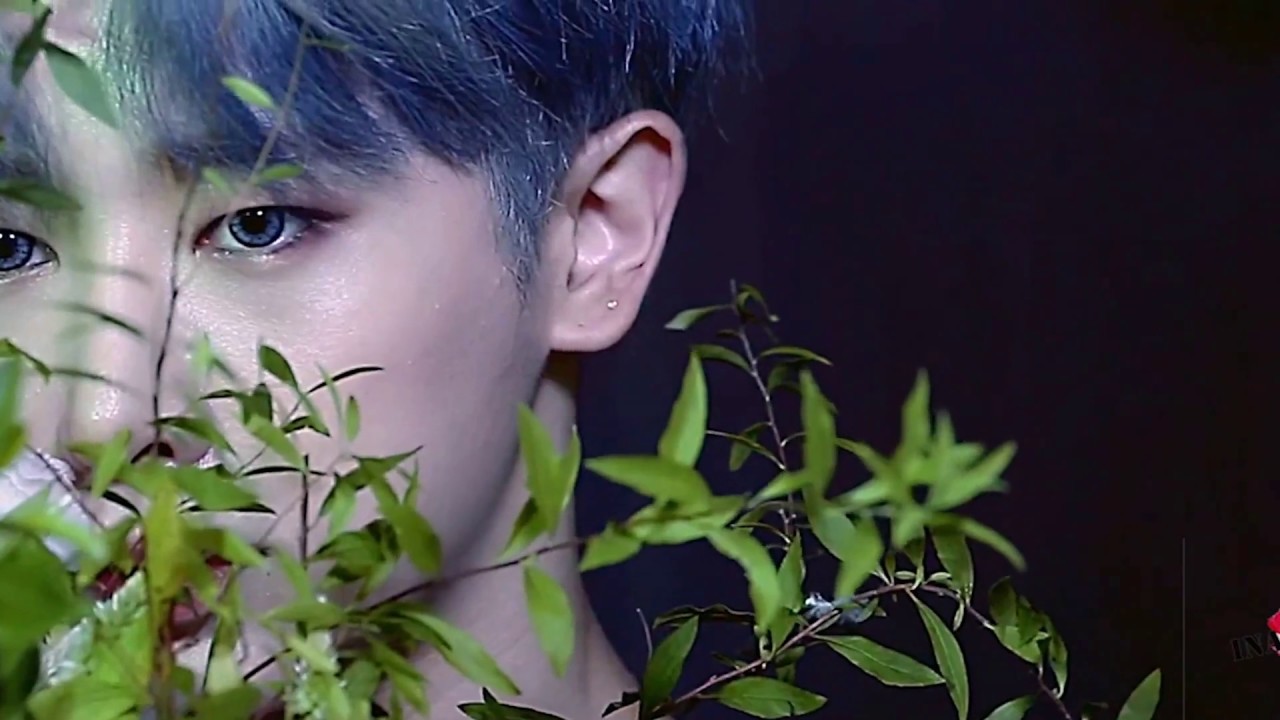 (FMV) Monsta X Wonho - For your Entertainment