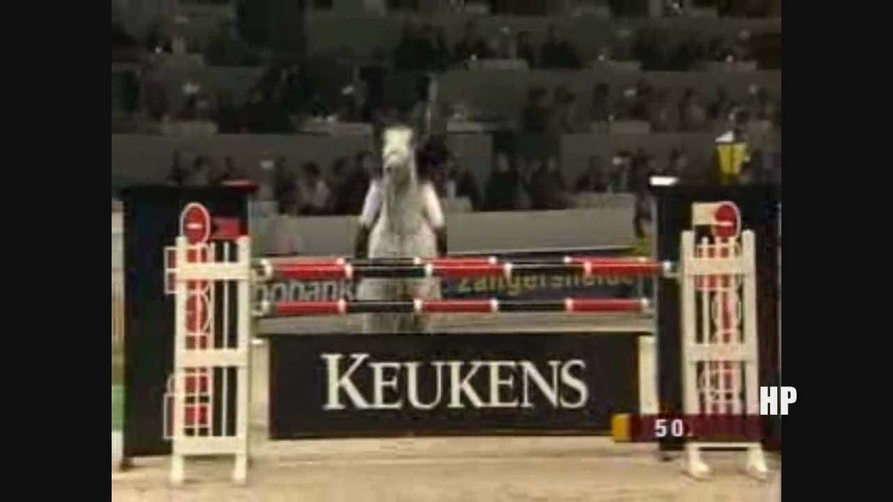 Equestrian- Poker Face