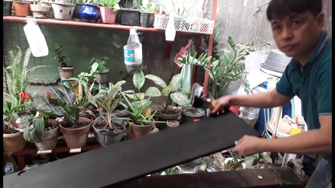 HOW TO VARNISH BLACK COLOR FOR BEGINNERS