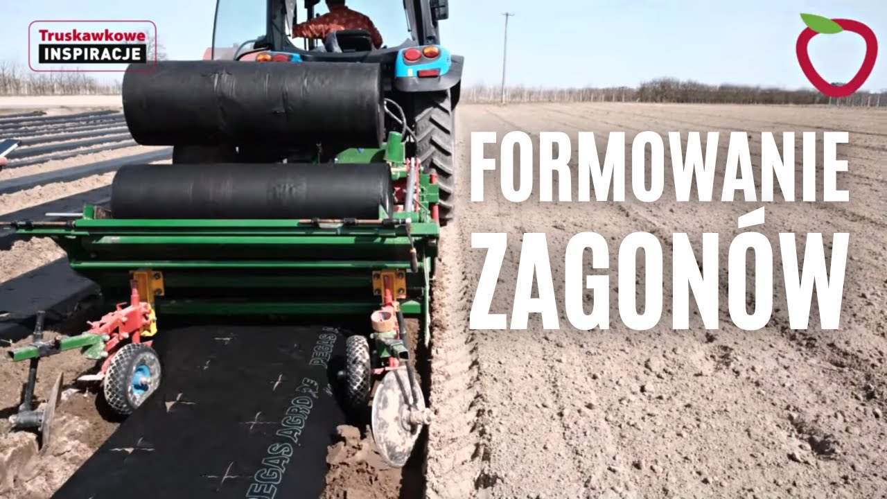 Truskawkowe Inspiracje - formujemy zagony