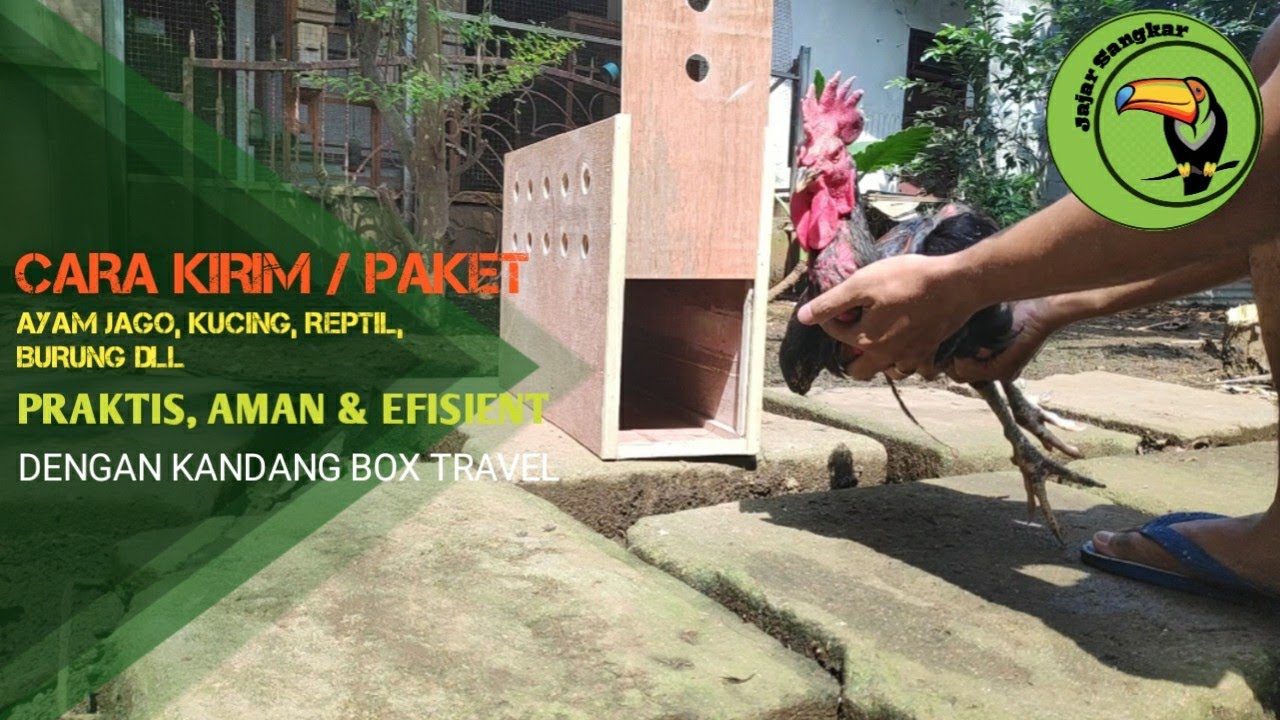 KANDANG BOX PENGIRIMAN AYAM JAGO, KUCING, KELINCI, REPTIL DLL I SYSTEM BONGKAR PASANG