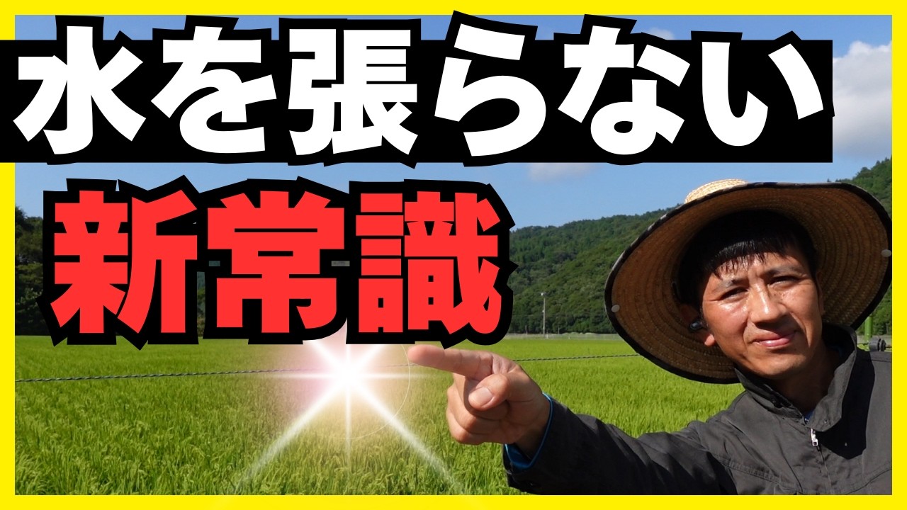 【節水＆高温対策】稲が本来の力を発揮する！新しい水管理「飽水管理」入門