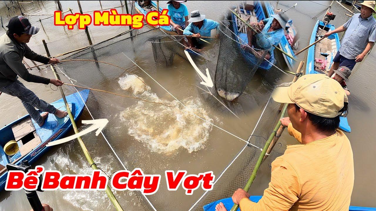 Lợp Mùng Cá Độc Nhất Việt Nam Chạy Cá Khủng Khiếp/Phần 1/ Định Nguyễn Hậu Giang