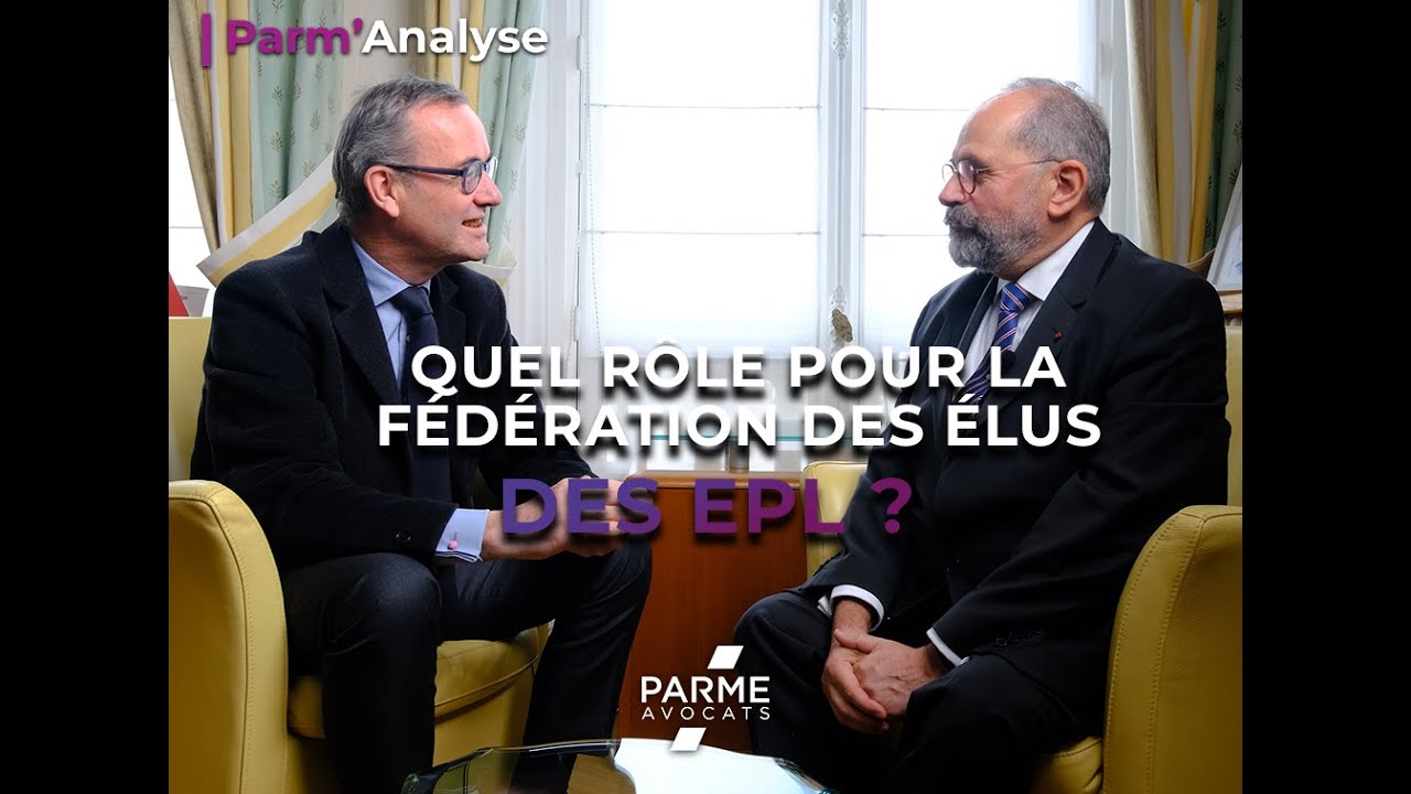 L'économie mixte par Philippe Laurent : 