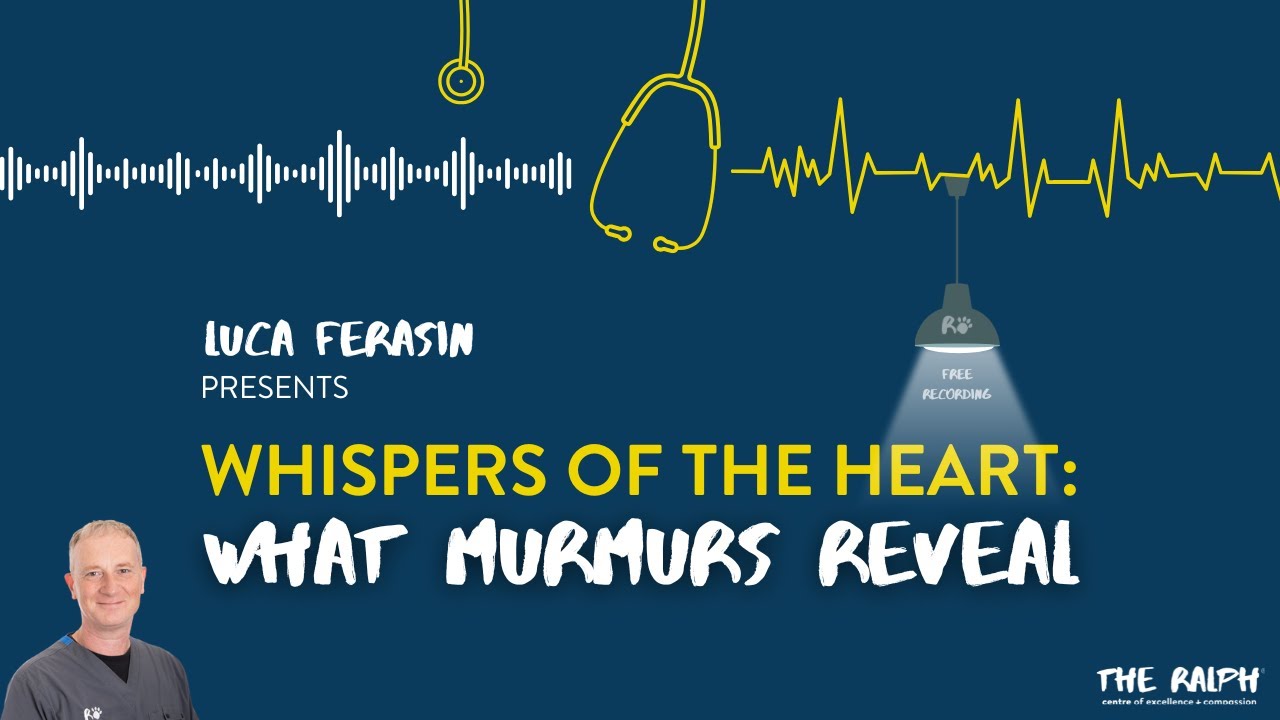 Whispers Of The Heart: What Murmurs Reveal