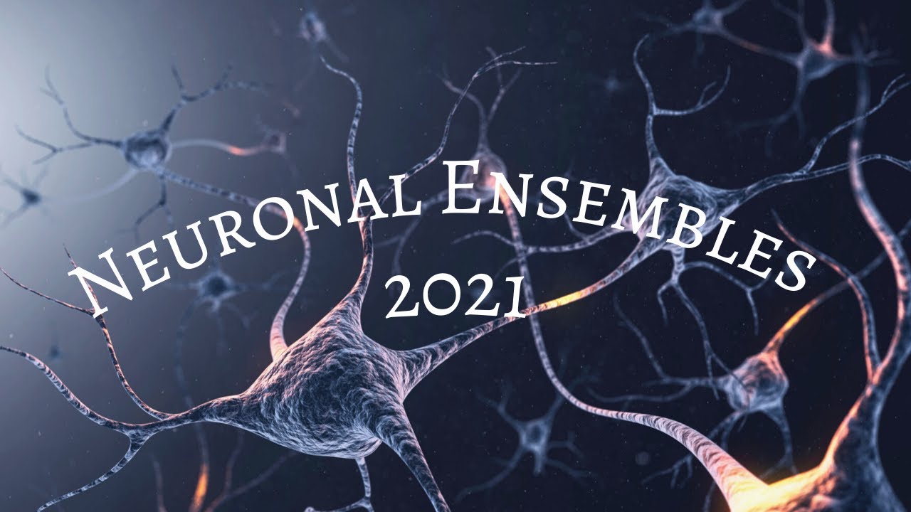 Neuronal Ensembles 2021 Webinar