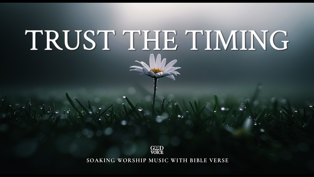 Trusting God’s Plan: 1 Hour Soaking Worship & Prayer (Philippians 4:6)