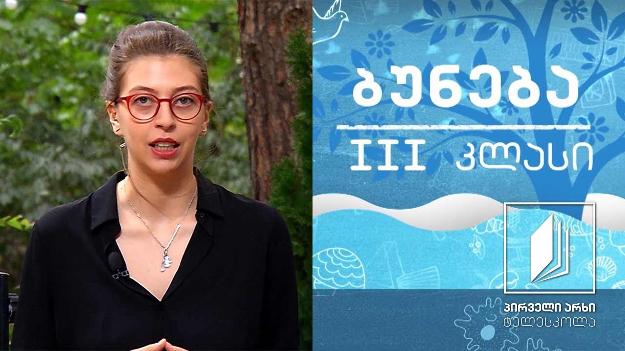 ბუნება, III კლასი - ფოთოლი #ტელესკოლა