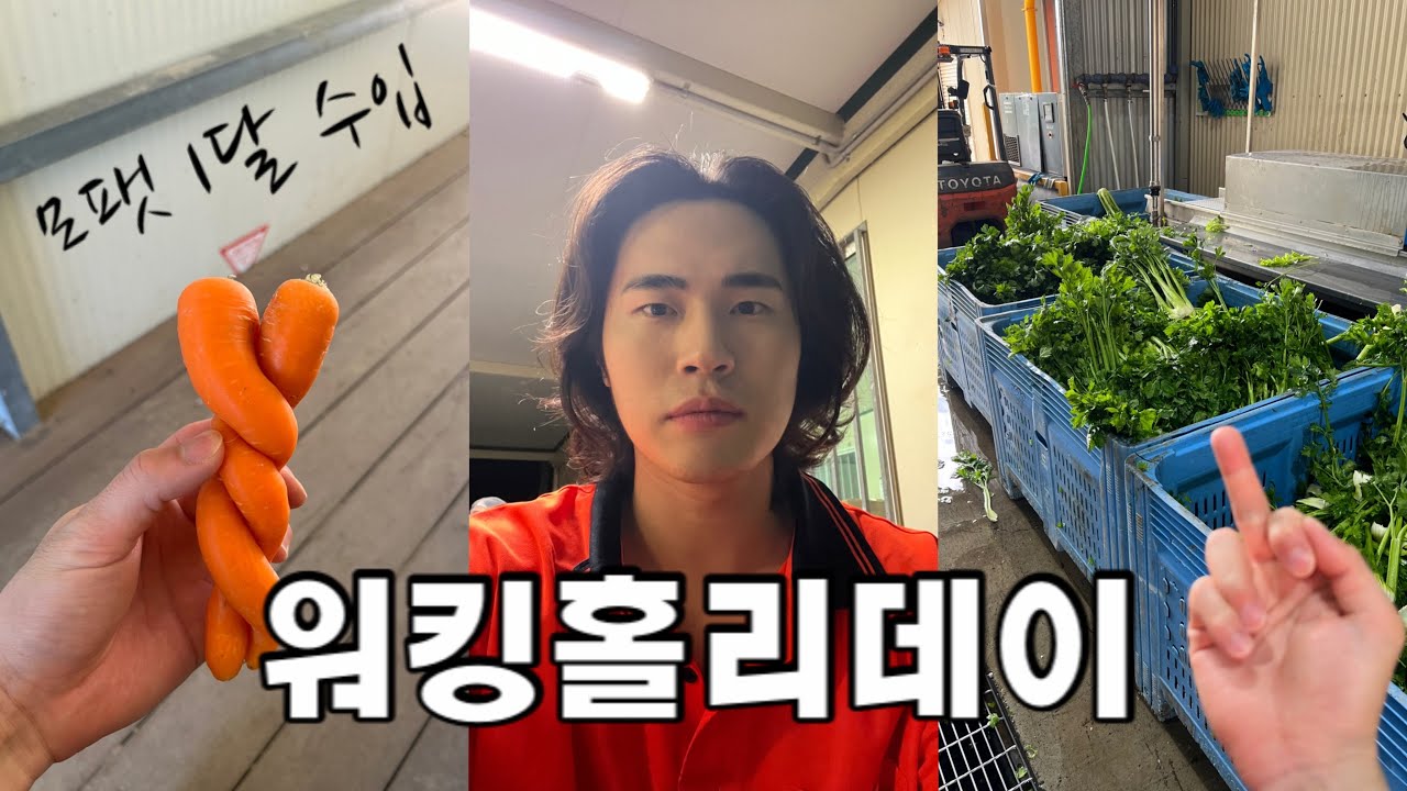 🇦🇺 호주 워홀 1달차 Vlog (feat. 수익공개)